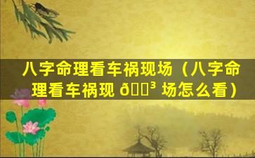 八字命理看车祸现场（八字命理看车祸现 🐳 场怎么看）